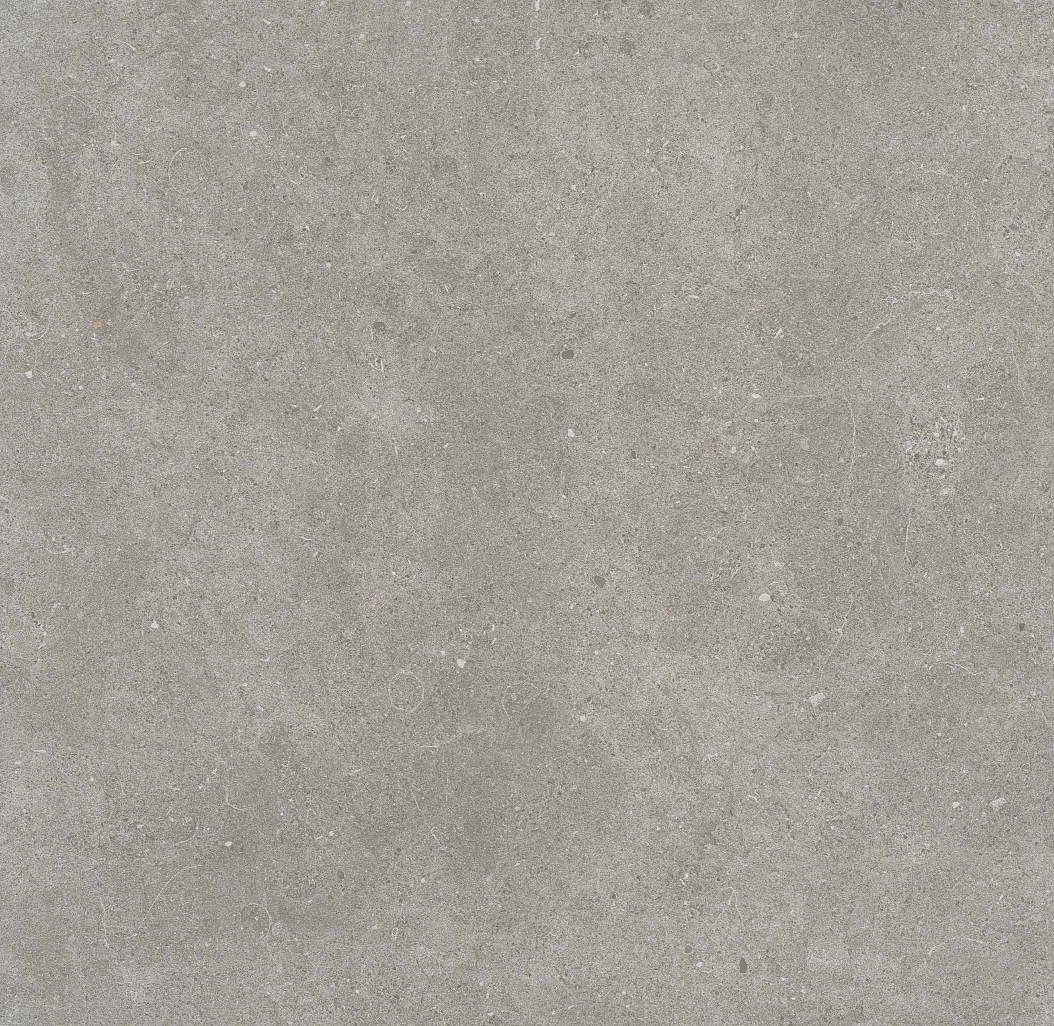 Venice Grey Sample