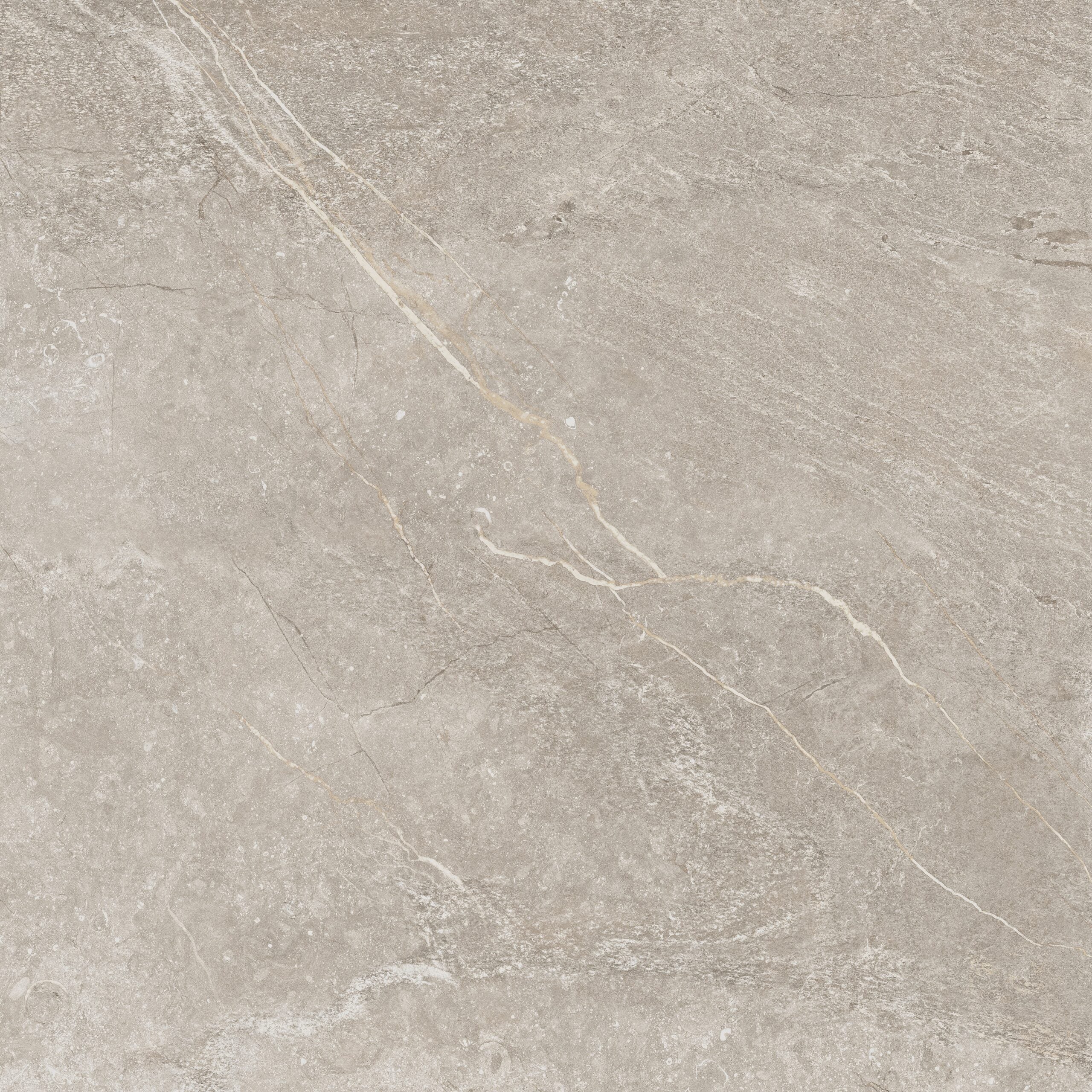 Valencia Taupe Sample
