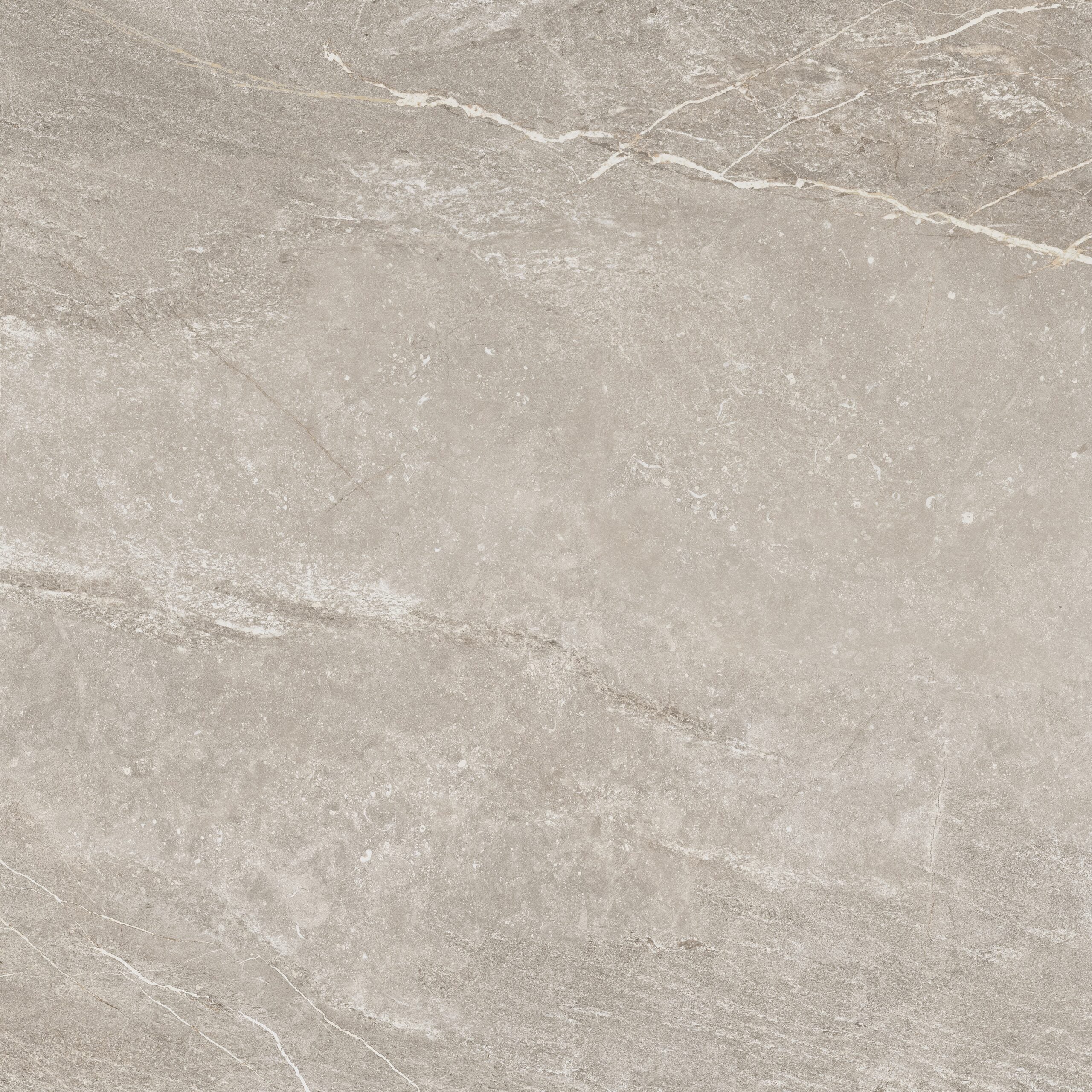Valencia Taupe