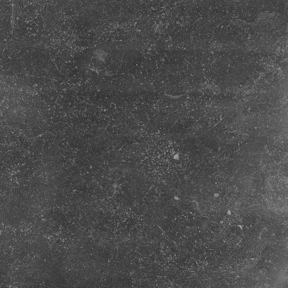 New York Dark Sample