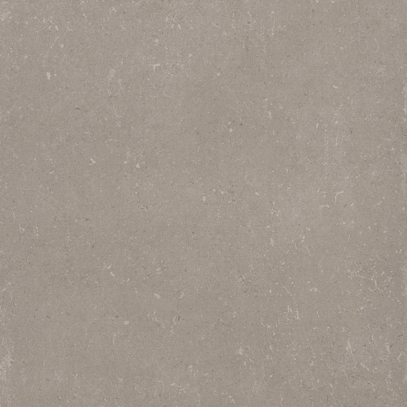 Roma Grey